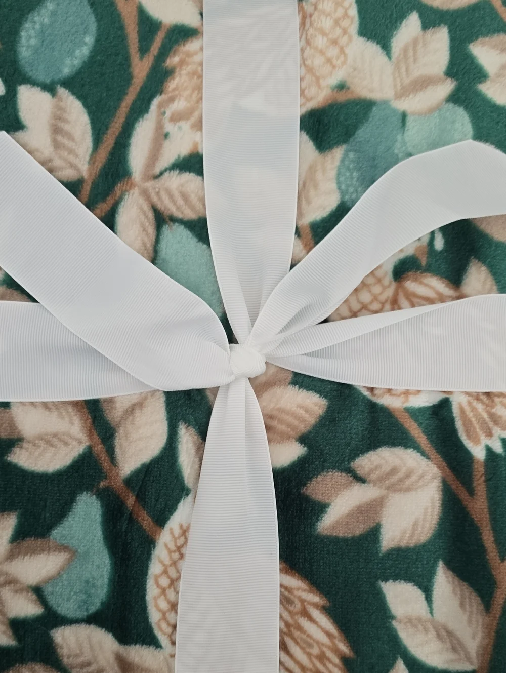 NORTH POLE GREEN AND WHITE VELVET PLUSH THROW